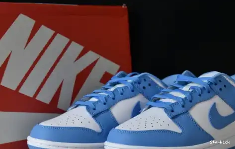 Dunk DD1391-102 Blue Nike University Low 0701